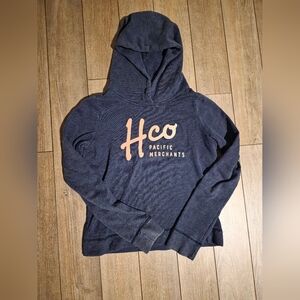 Hollister Black and Tan Graphic Hoodie